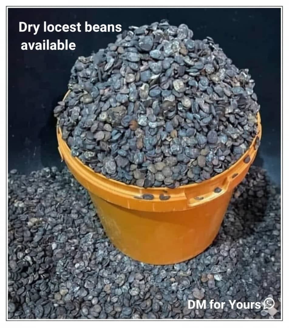Locust beans for export